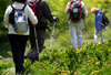 A group of people with backpacks on visiting the district's open spaces. A group of people with backpacks on visiting the district's open spaces.
